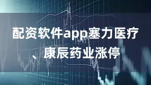 配资软件app塞力医疗、康辰药业涨停