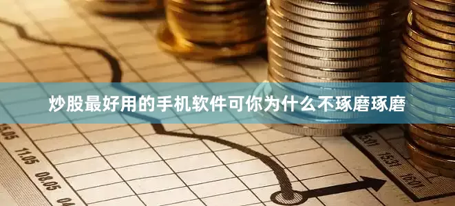 炒股最好用的手机软件可你为什么不琢磨琢磨