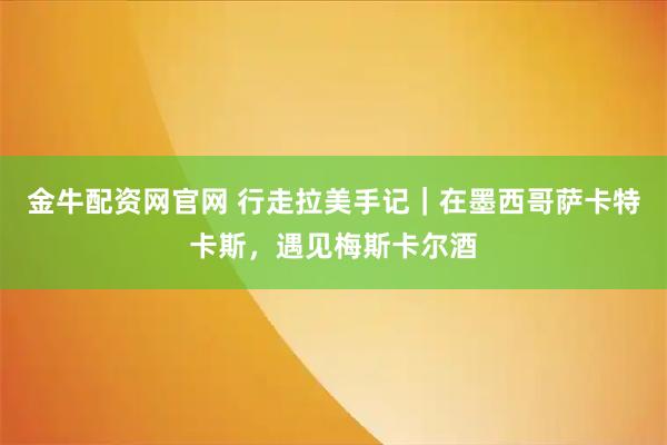 金牛配资网官网 行走拉美手记｜在墨西哥萨卡特卡斯，遇见梅斯卡尔酒