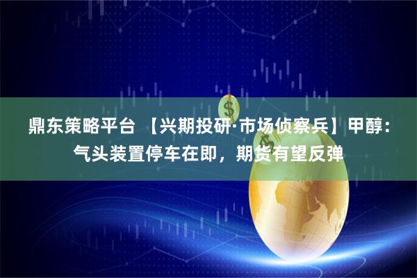鼎东策略平台 【兴期投研·市场侦察兵】甲醇：气头装置停车在即，期货有望反弹