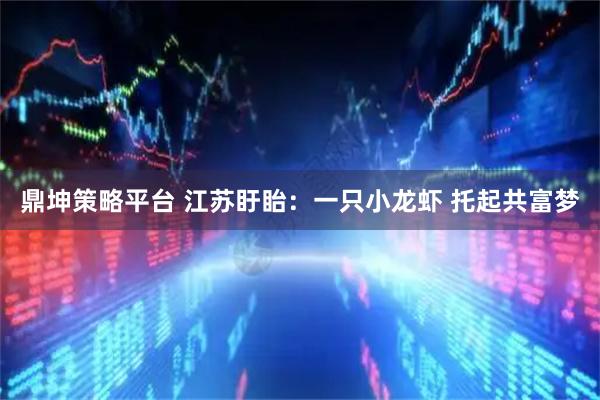 鼎坤策略平台 江苏盱眙：一只小龙虾 托起共富梦