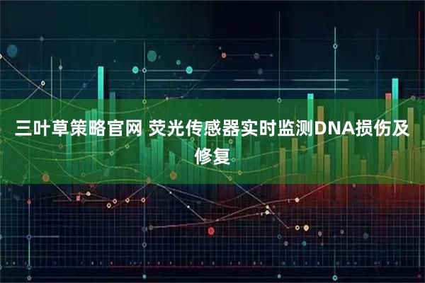 三叶草策略官网 荧光传感器实时监测DNA损伤及修复