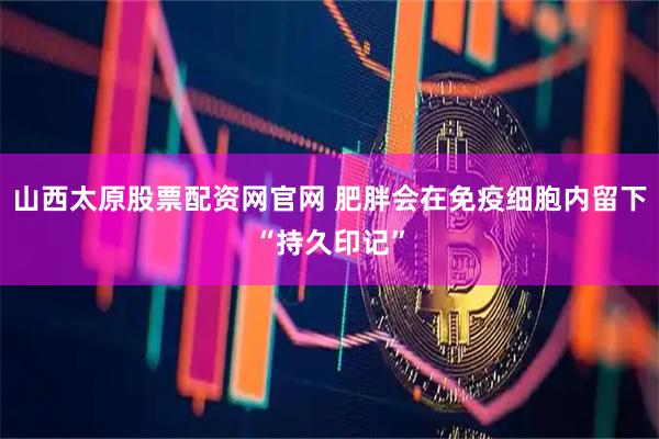 山西太原股票配资网官网 肥胖会在免疫细胞内留下“持久印记”
