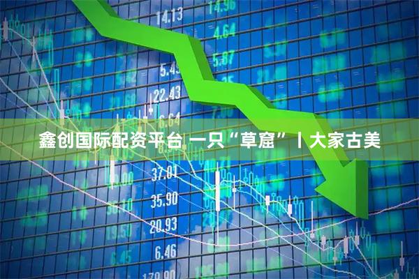 鑫创国际配资平台 一只“草窟”丨大家古美